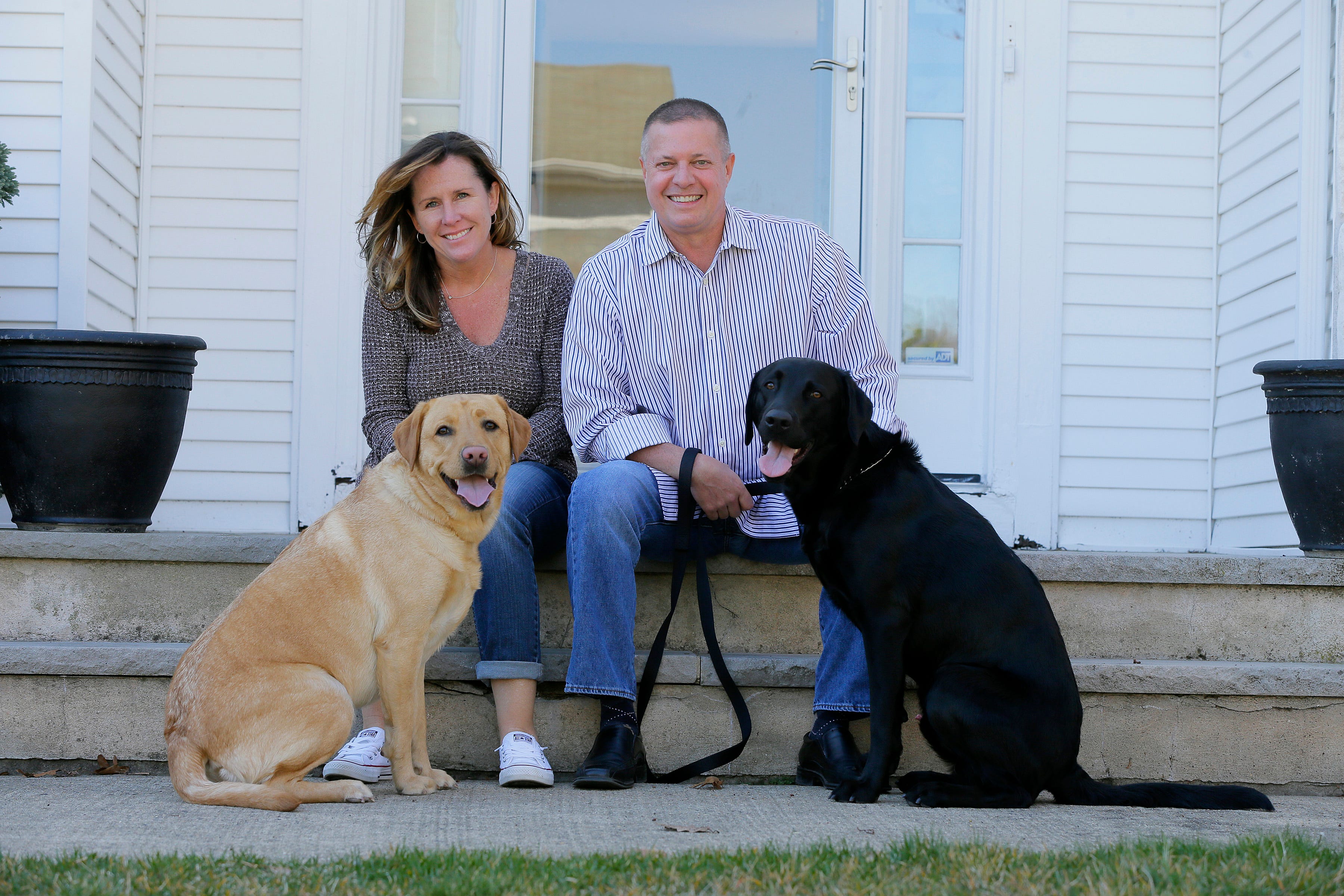 local pet transportation